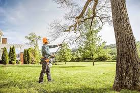 Best Tree Risk Assessment  in Princeton, FL