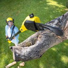 Best Pest Control for Lawns  in Princeton, FL