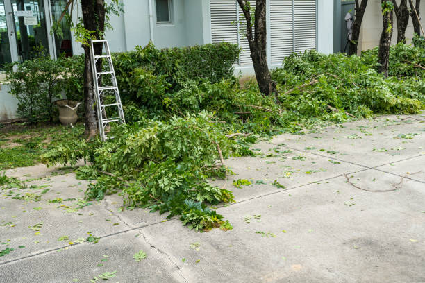 Best Lawn Irrigation Installation and Maintenance  in Princeton, FL