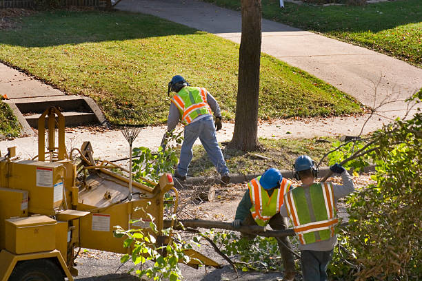 Lawn Maintenance Plans in Princeton, FL